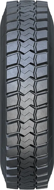 FORZA OR A FORZA OR A